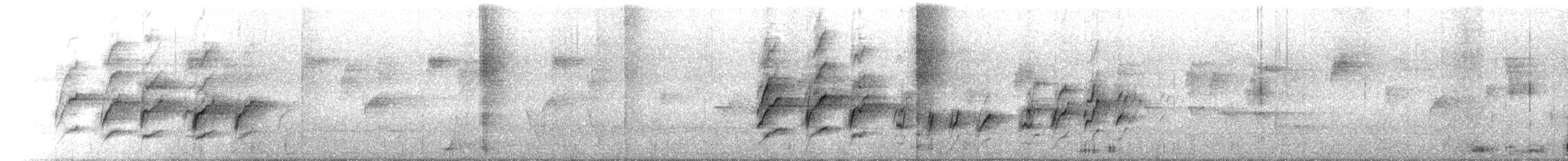 Orthonyx de Temminck - ML550399861