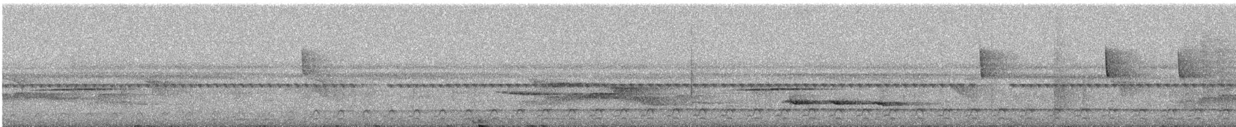 Gray-headed Kite - ML550407441
