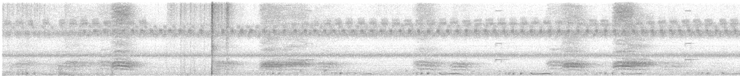 野鴿(野化) - ML550409001