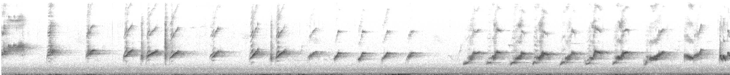 Northern Mockingbird - ML550410721