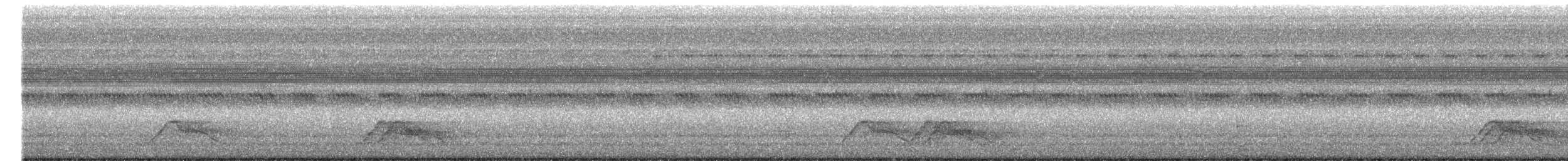 Pauraquenachtschwalbe - ML550458151