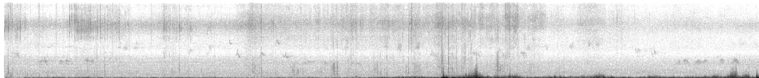 Mirlo Acuático Norteamericano - ML550489681