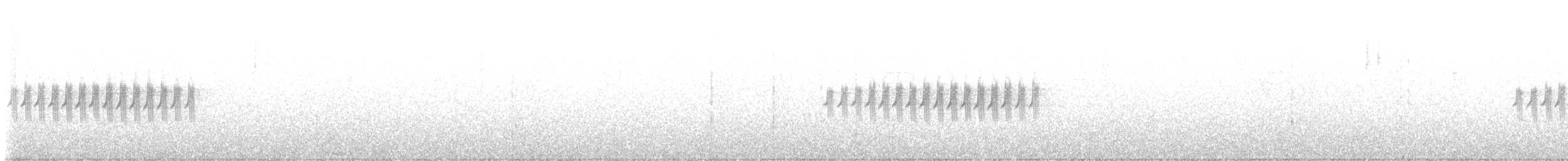 vinterjunko (oreganus gr.) - ML550495281