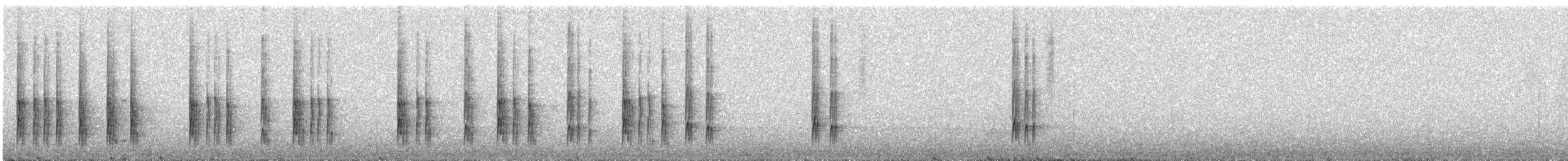 rødkronetodityrann - ML550500551