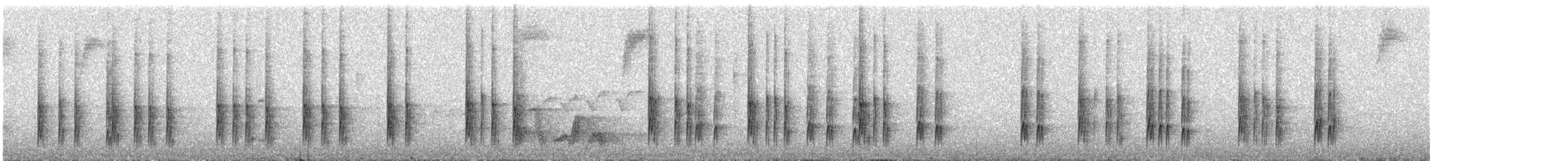 rødkronetodityrann - ML550503231