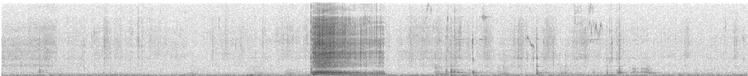 Aura Gallipavo - ML550519731