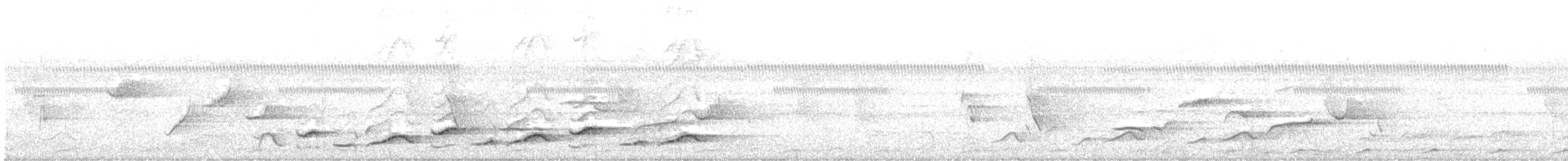 Maun Başlıklı Gevezeardıç - ML550560751