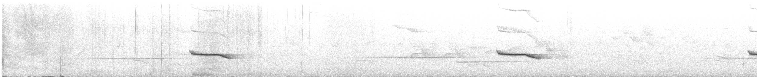 White-throated Wren-Babbler - ML550562611