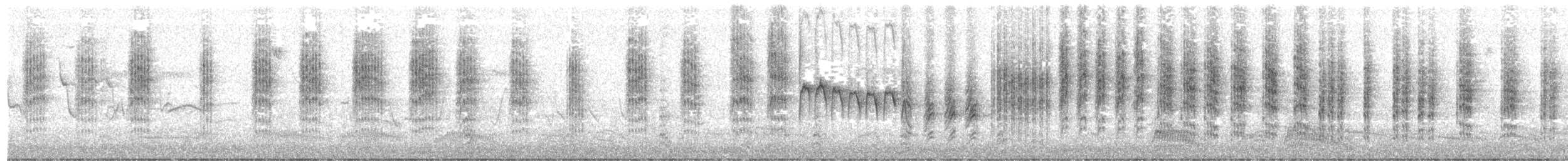 Phragmite des joncs - ML55056991