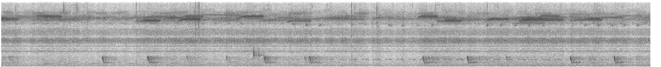 Large-tailed Nightjar - ML550575641