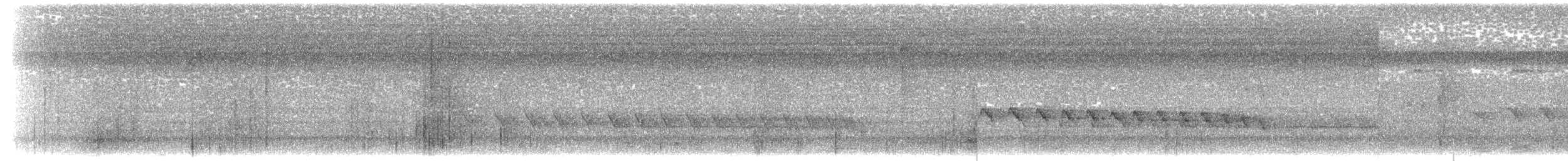Kurzschwanz-Ameisenschlüpfer (ignota) - ML550600151