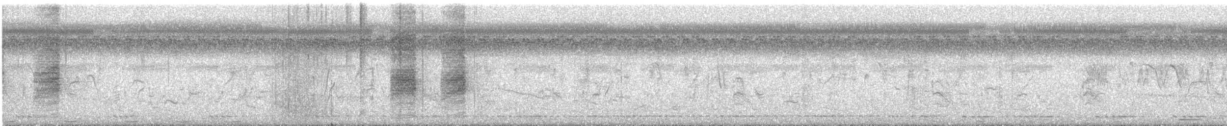 Long-tailed Shrike - ML550603651