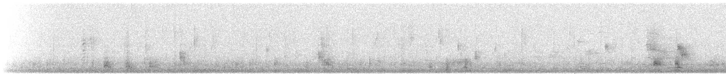斑背潛鴨 - ML550616851