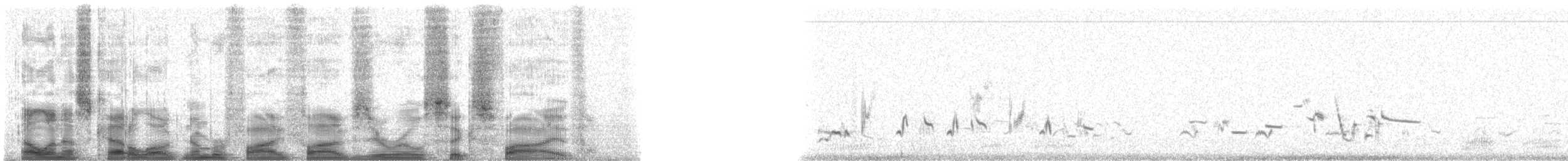 Western Meadowlark - ML55065