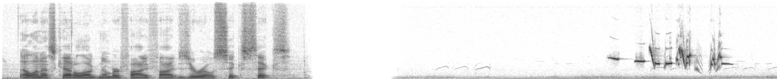 Western Meadowlark - ML55066