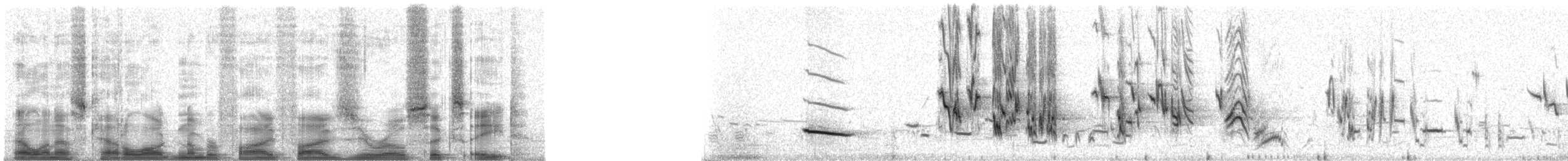 Western Meadowlark - ML55068