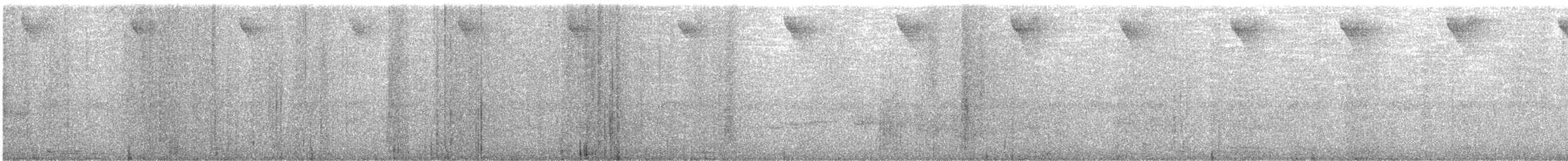 Черноухий колибри - ML550693461