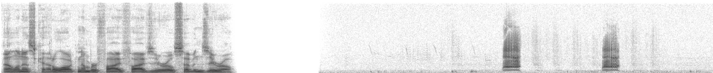 Cuervo Grande - ML55070