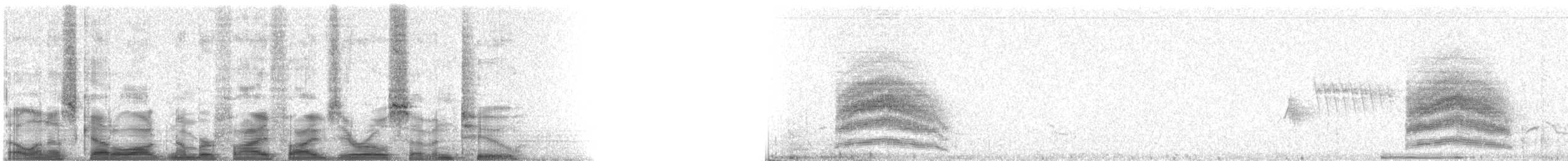 Spotted Towhee - ML55072