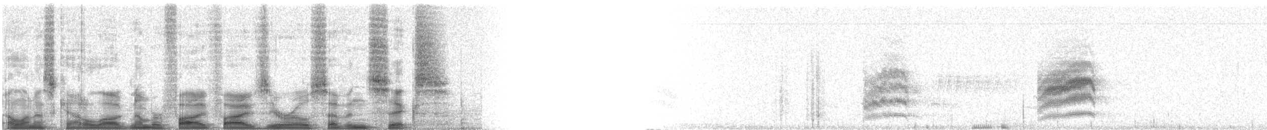 Spotted Towhee - ML55076