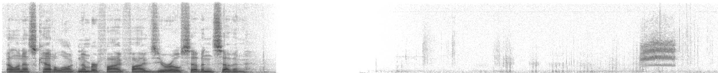 Spotted Towhee - ML55077