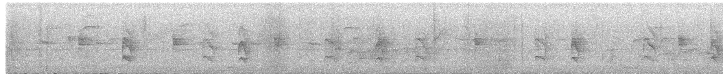 Küstenkordilleren-Ameisenfänger - ML550792011