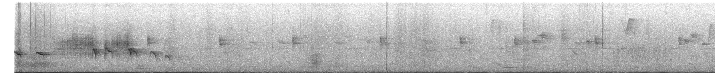 Küstenkordilleren-Ameisenfänger - ML550795201