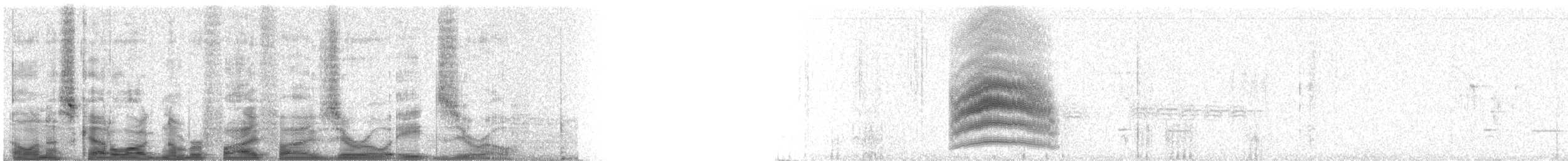 Spotted Towhee - ML55080