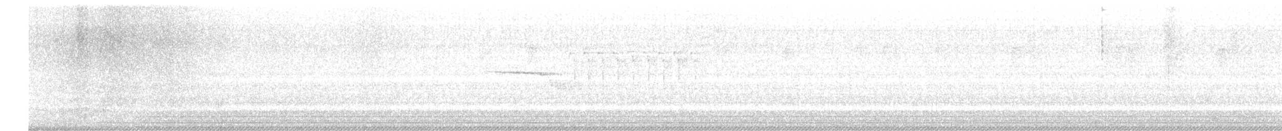 Bachman's Sparrow - ML550846871
