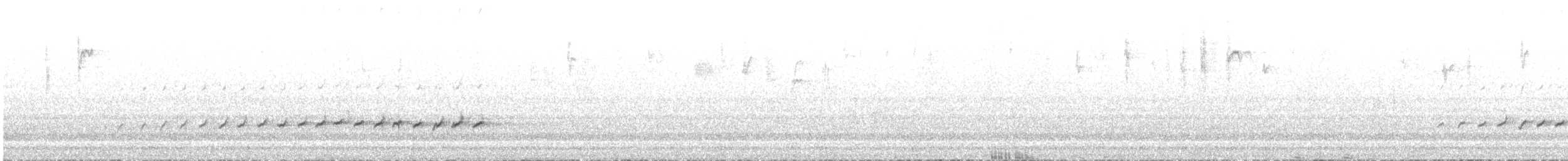 Королаз плямистобокий - ML550847761