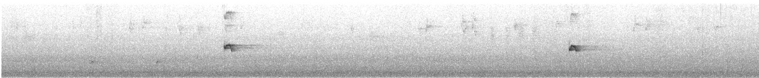 Королаз плямистобокий - ML550848661