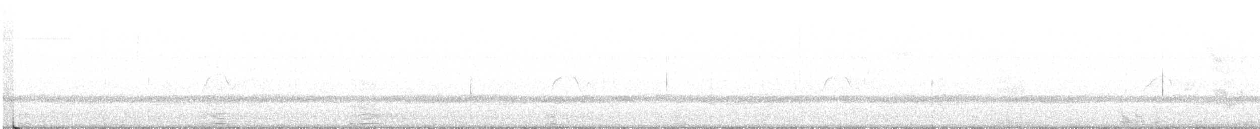 Weißbauch-Phoebetyrann - ML550851311