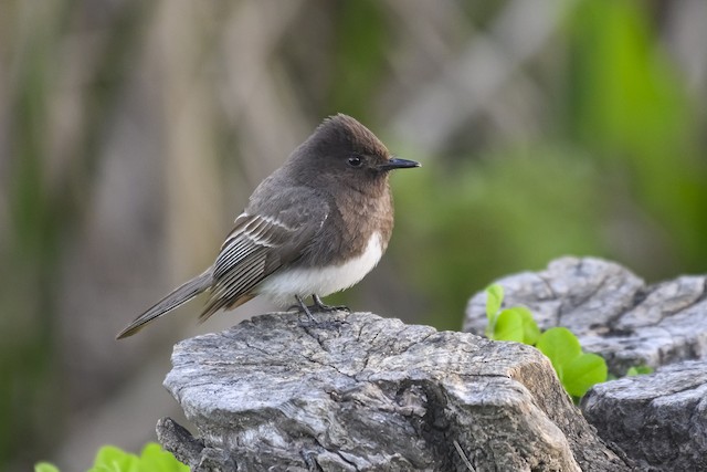 Santa Barbara, March 2023