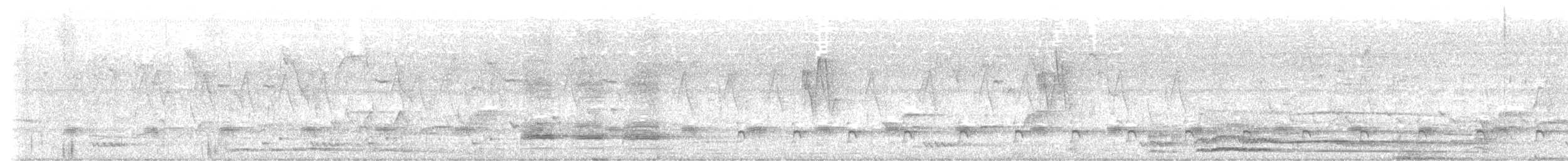 straka jižní - ML550927261