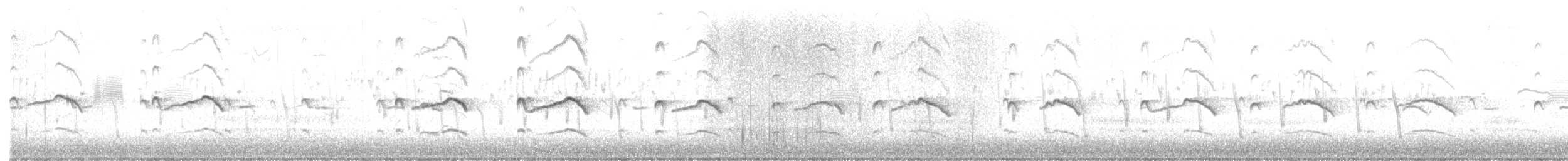 חופמי כפול-צווארון - ML550962341