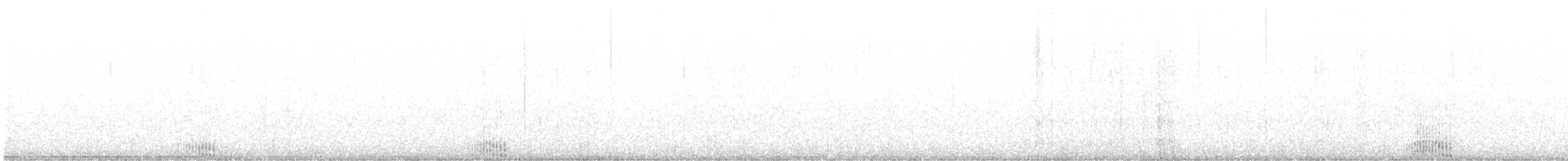 Малая морская чернеть - ML551019141