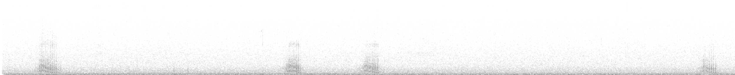 Малая морская чернеть - ML551019401