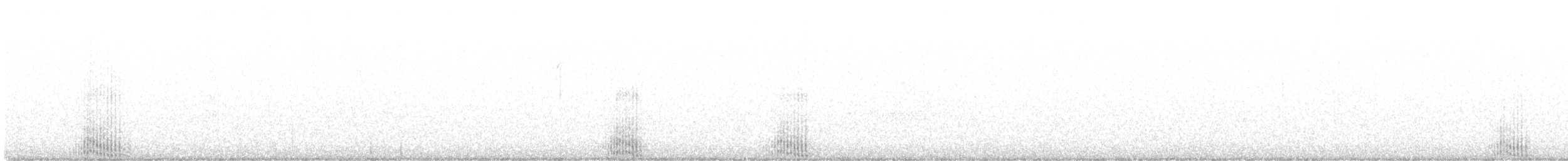 polák vlnkovaný - ML551019401