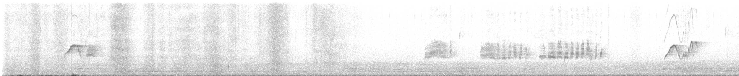 Светлобрюхий фиби - ML551027031