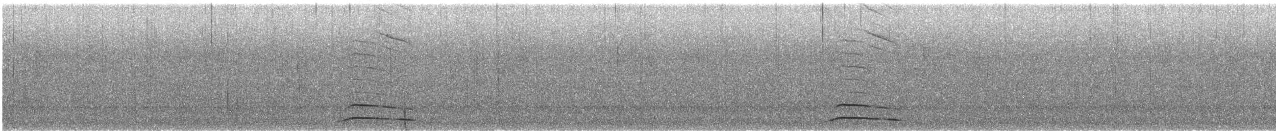 Сплюшка андійська (підвид colombianus) - ML551159851