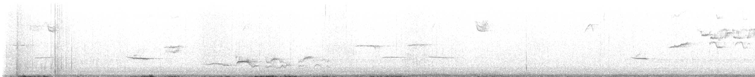 Дрізд-короткодзьоб плямистоволий - ML551163571