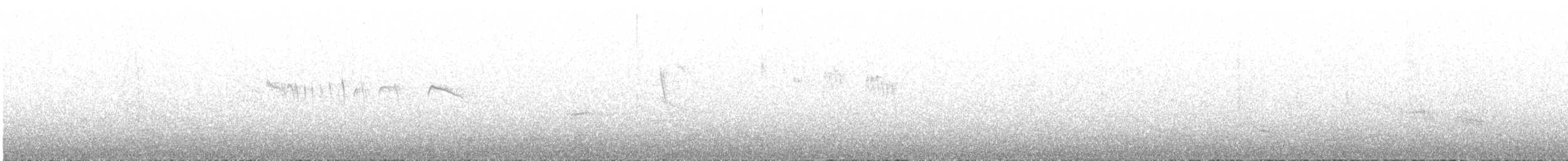 ツリスアマツバメ - ML551184911
