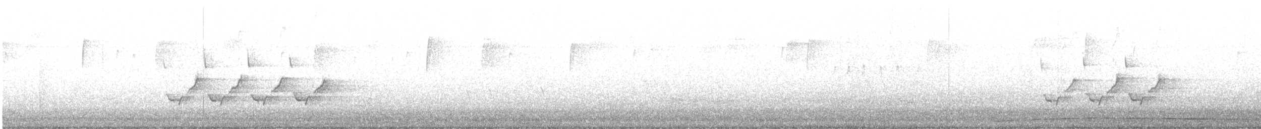 Поплітник каролінський - ML551191831