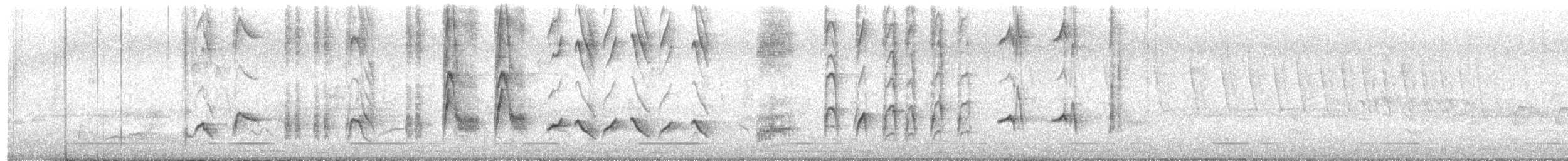 Krummschnabel-Spottdrossel - ML551198341