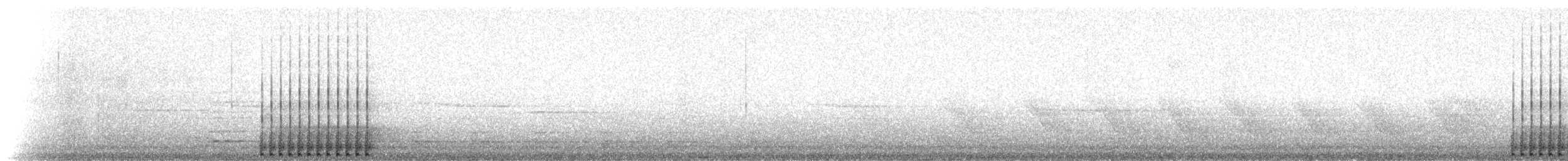 strakapoud osikový (ssp. pubescens/medianus) - ML55123521