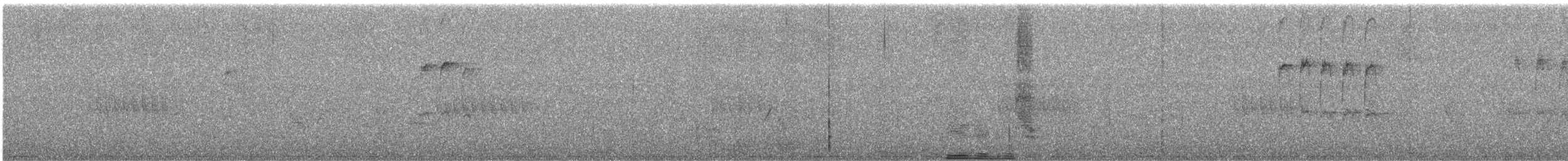 Euli-txoria (Ficedula) sp. - ML551300441
