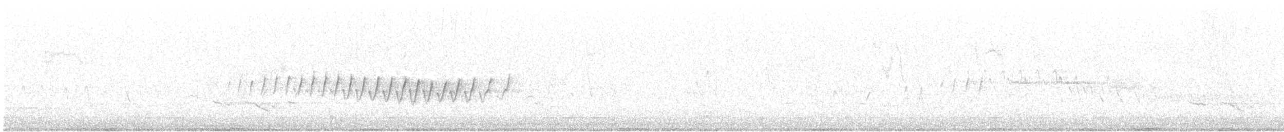 Pine Warbler - ML55132601
