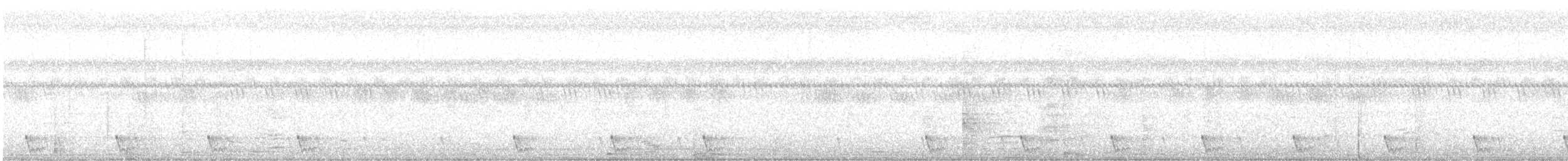 Langschwanz-Nachtschwalbe - ML551351531