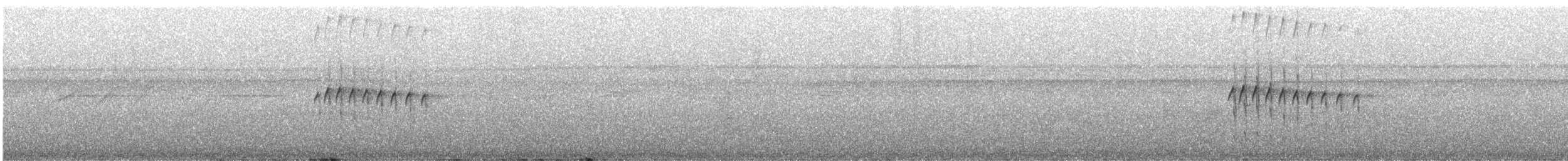 Ornate Stipplethroat - ML551365551