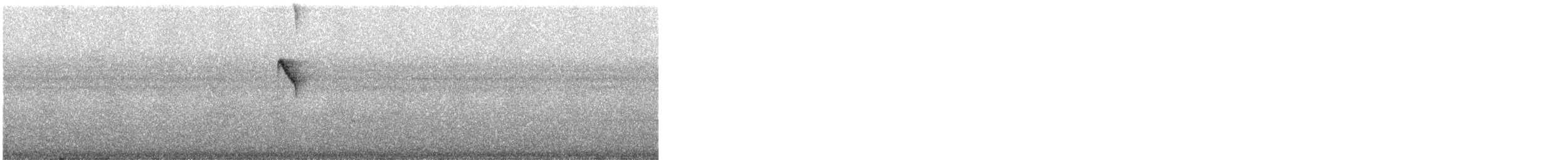Белобровый колибри-отшельник - ML551367641